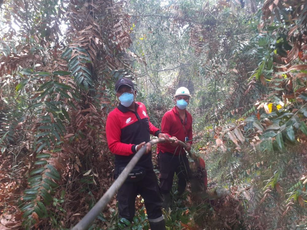 PTPN IV PalmCo Perkuat Satgas Atasi Karhutla di Kalimantan hingga Sumatra