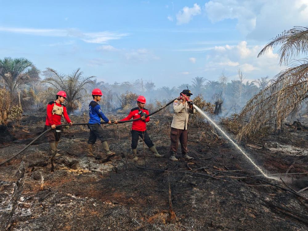pt-sari-lembah-subur-gerak-cepat-bantu-padamkan-kebakaran-lahan-di-kerumutan