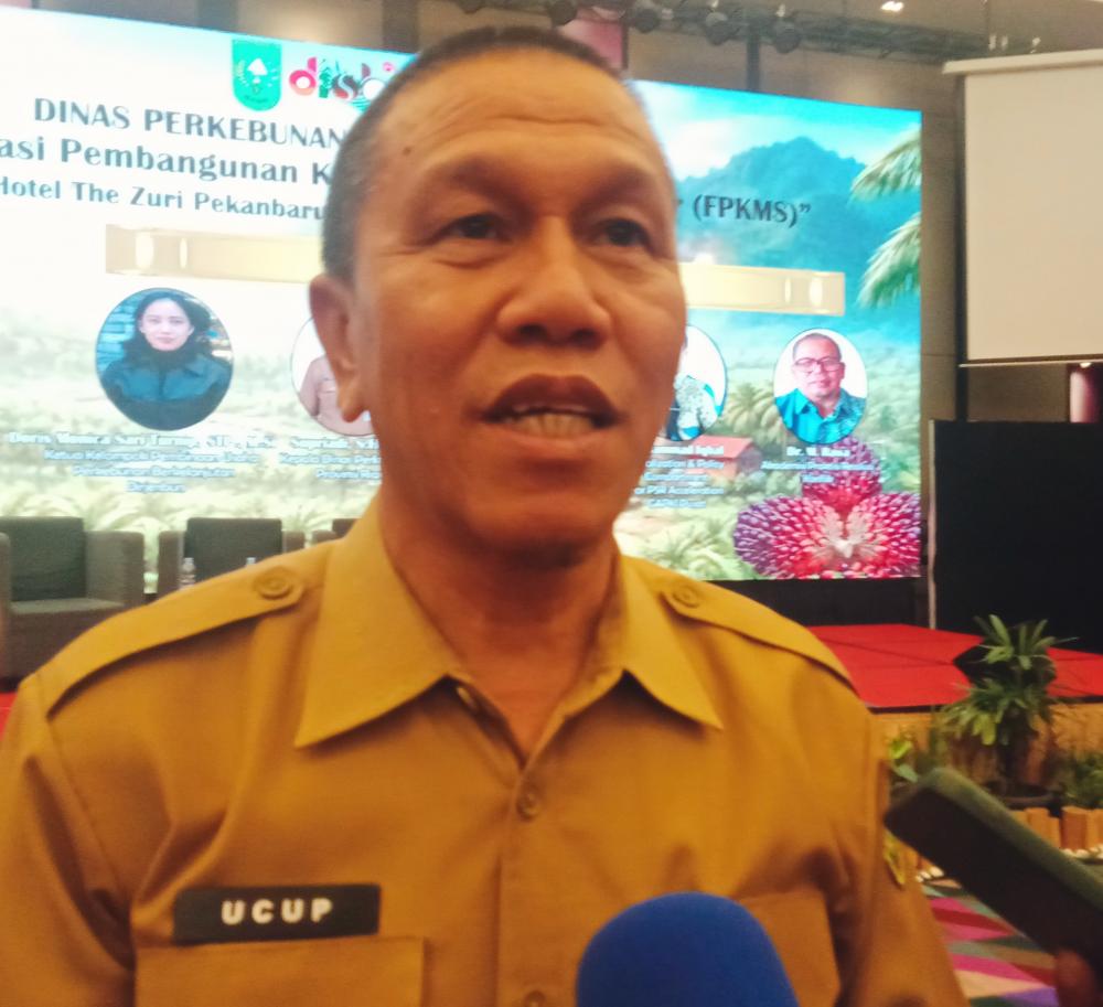 program-peremajaan-sawit-rakyat-di-riau-target-2026-dipatok-6000-hektare