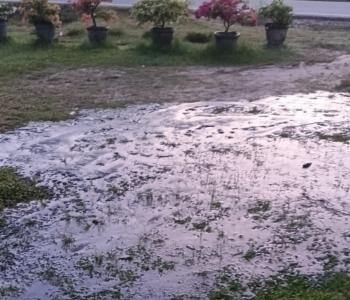 emp-energi-riau-tangani-rembesan-sisa-minyak-dari-kebocoran-pipa-water-injection-di-kerumutan