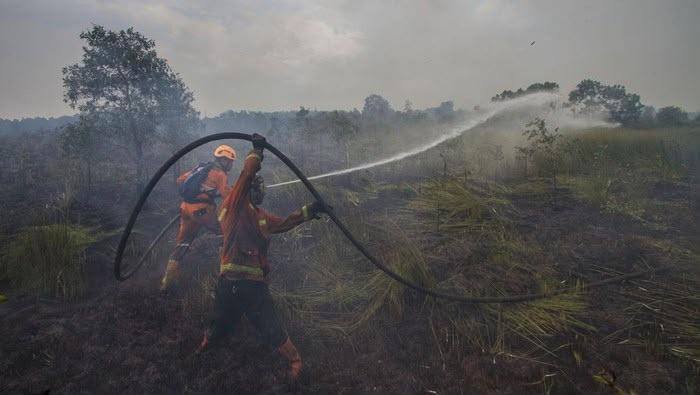 Antisipasi Karhutla, PTPN IV PalmCo Perkuat Deteksi Dini dan Patroli di Sumatera-Kalimantan