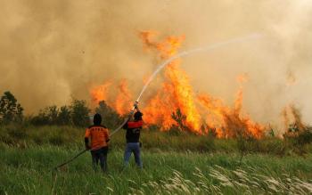 Camat Tanah Putih Serukan Stop Bakar Lahan, Masyarakat Diminta Aktif Cegah Karhutla