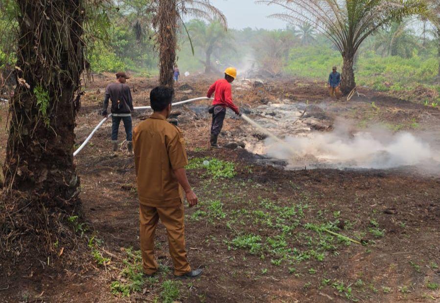 Personel Damkar PTPN IV Regional III Bantu Atasi Karhutla di Areal Masyarakat