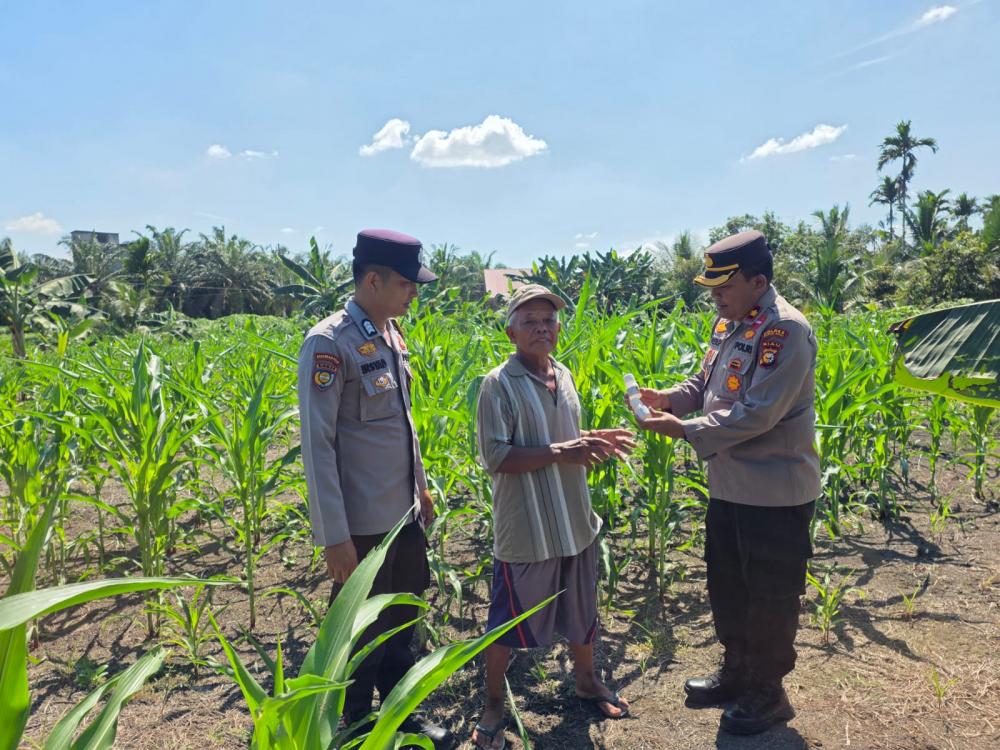 kapolsek-ujungbatu-bersama-bhabinkamtibmas-berikan-bantuan-racun-hama-kepada-petani-jagung