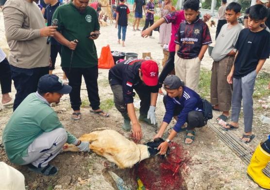 Yayasan Ayo Indonesia Mengaji Salurkan Ratusan Paket Kurban Untuk Masyarakat