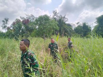 Cegah Karhutla, Danpos Ramil 01/Bangko Sisir Lahan Rawan di Sungai Bakau Sinaboi