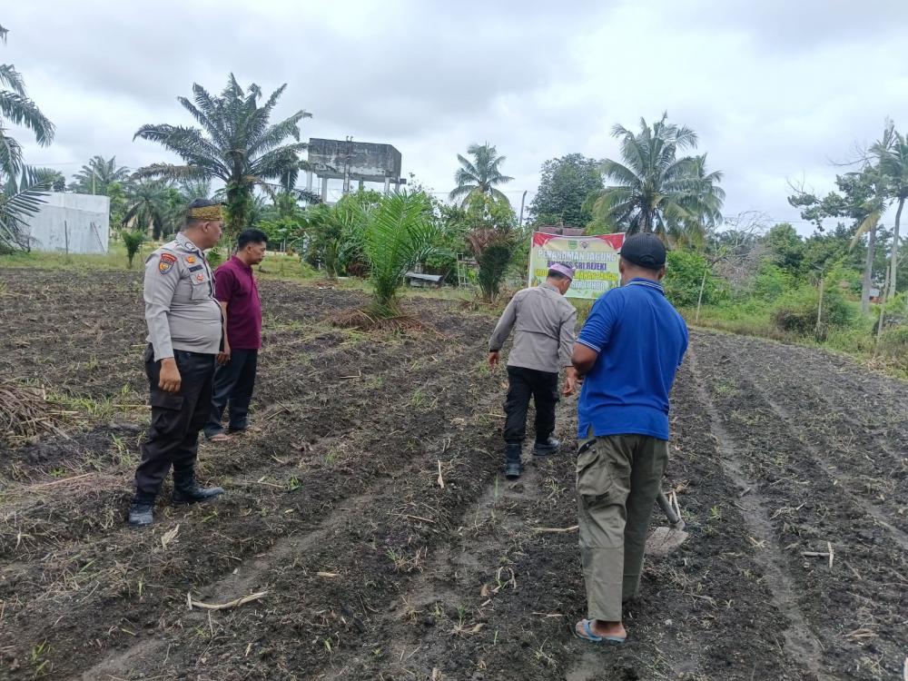 Polek Kuntu Darussalam Dukung Program Swasembada Pangan Melalui Penanaman Jagung Pipil