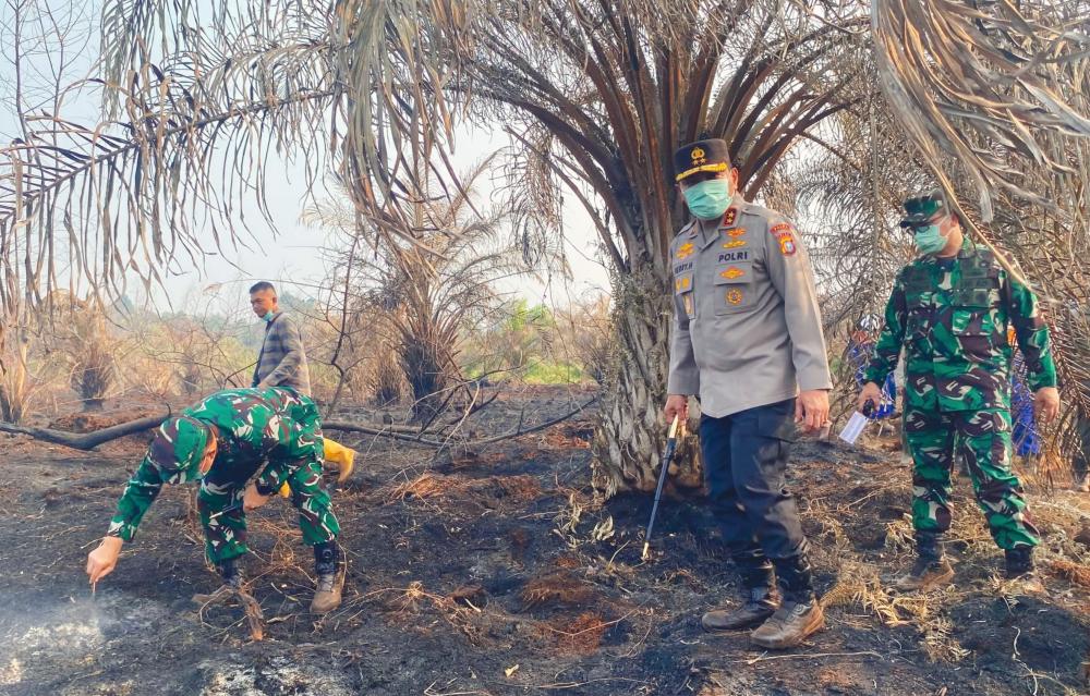 Kapolda Riau dan Pangdam XIX/TT Cek Langsung Pemadaman Titik Api di Siak