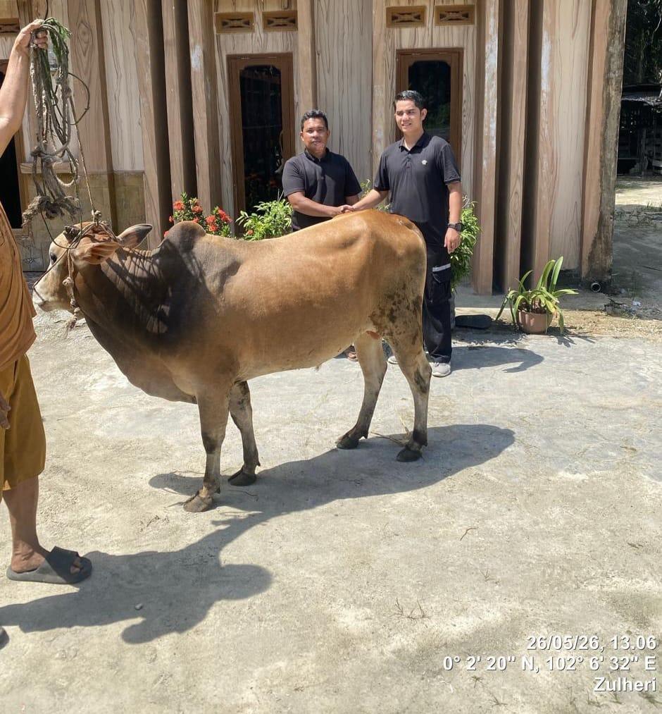 Wujud Kepedulian Sosial, PT Arara Abadi Serahkan Puluhan Hewan Qurban kepada Warga Riau