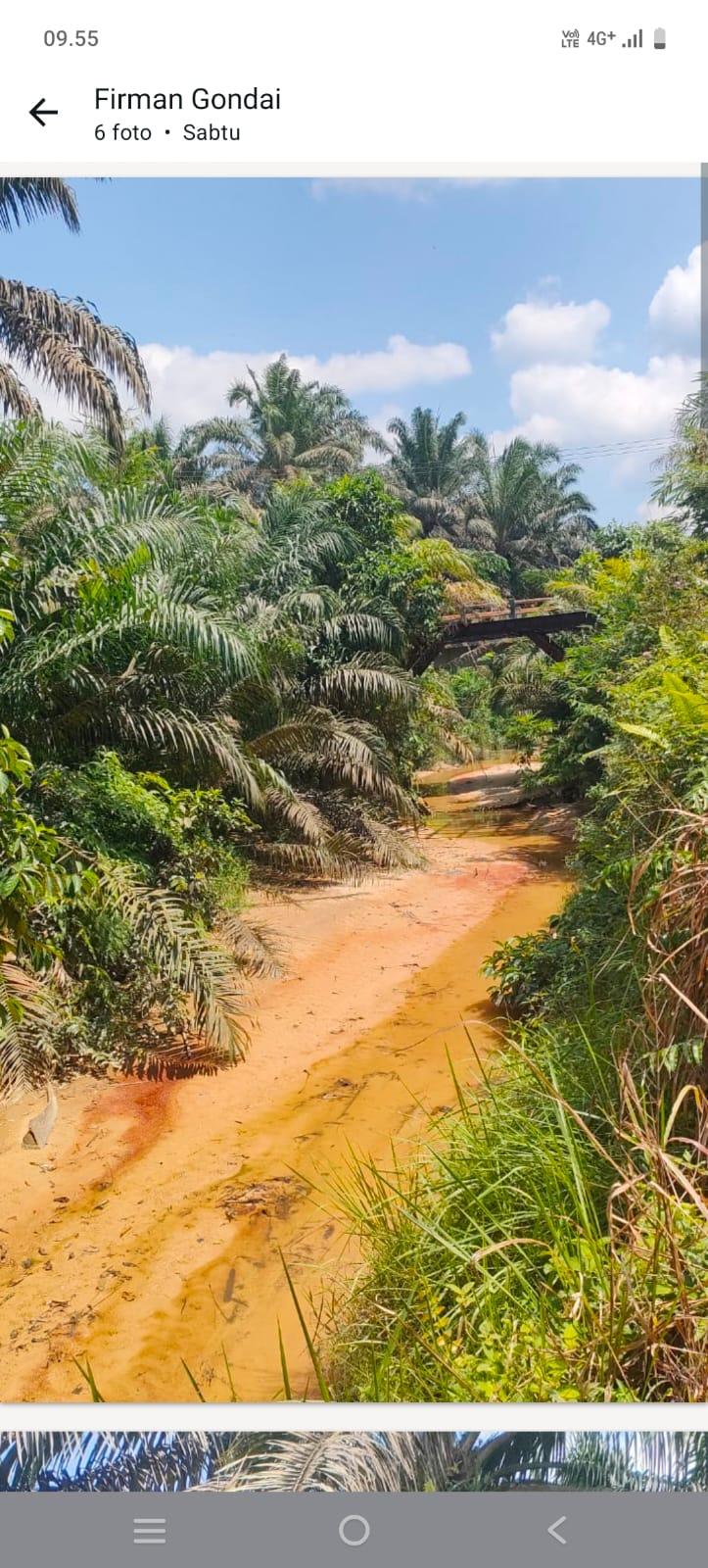 batin-mudo-gondai--puluhan-tahun-pt-mup-babat-habis-7-sungai